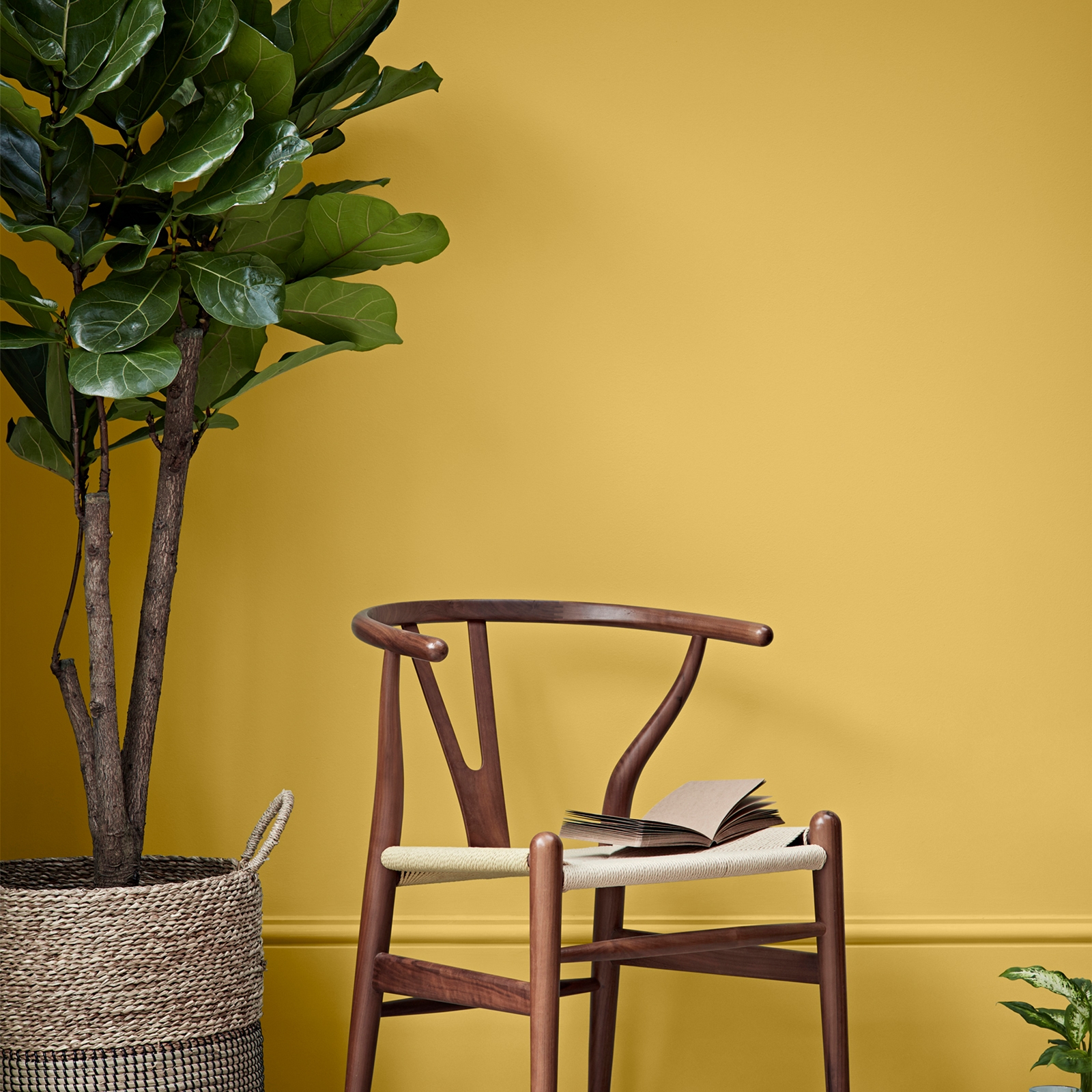 A modern wooden chair and leafy plant against a bold yellow wall